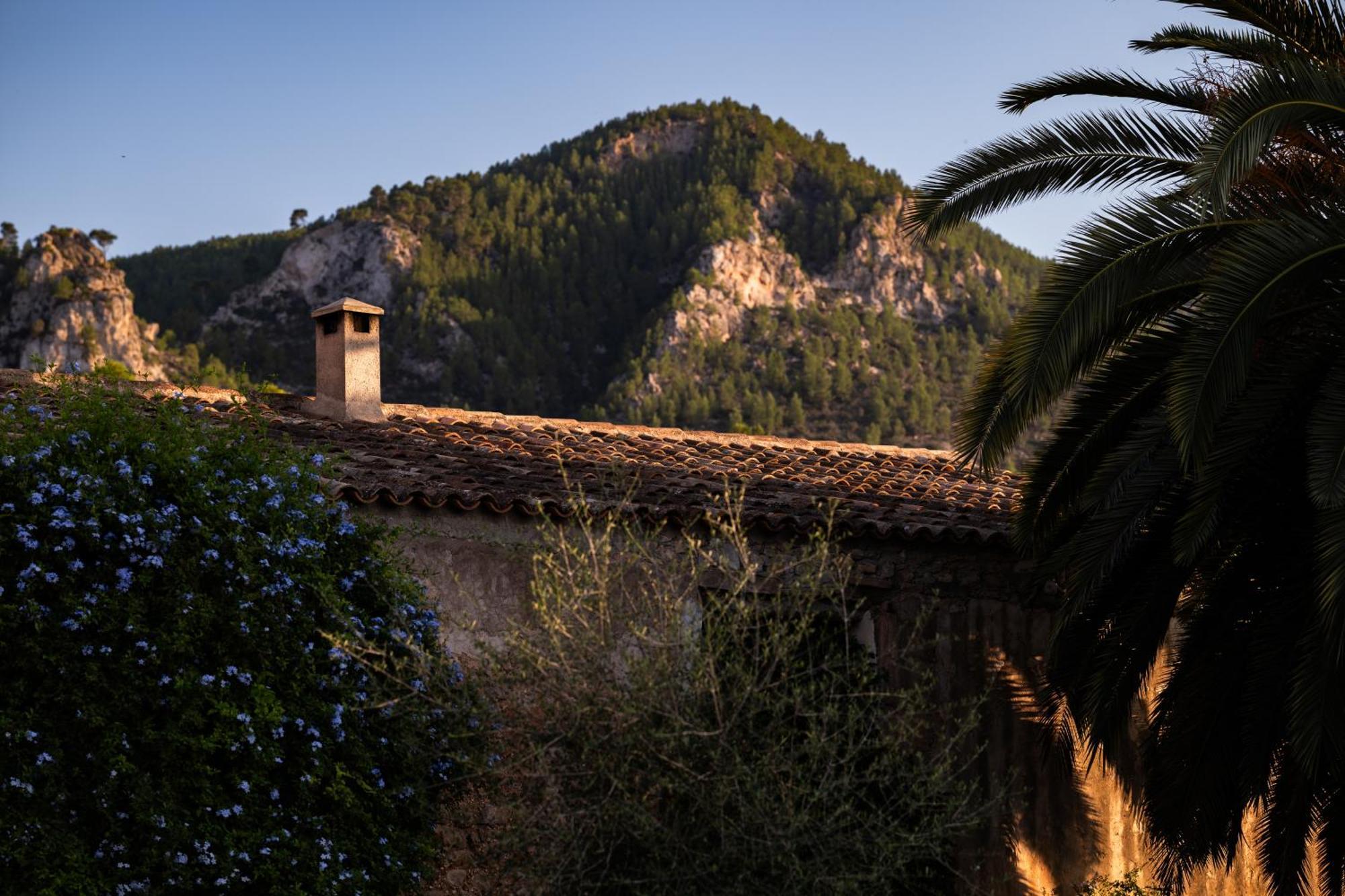 Agroturismo Son Boronat Calvia  Exterior foto
