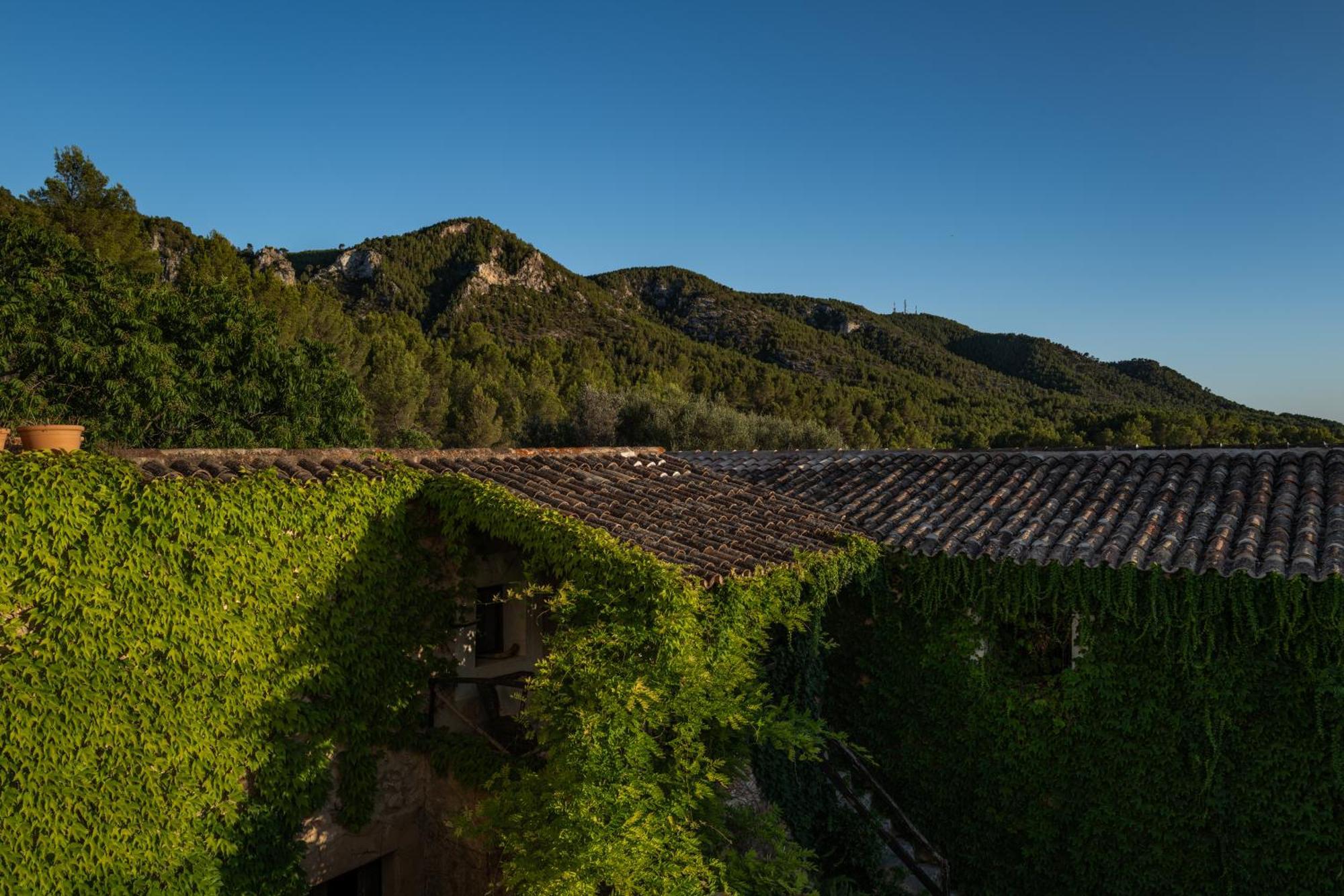 Agroturismo Son Boronat Calvia  Exterior foto